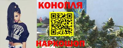 крисы Туймазы