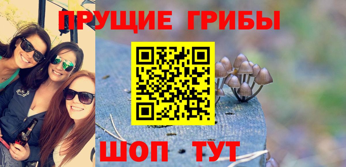 Псилоцибиновые грибы Psilocybe Щёлково